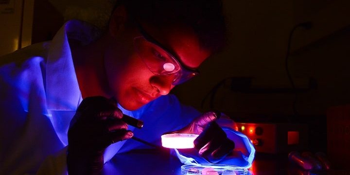 fluorescent brain-min